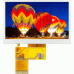 TTL43G-4802720W-1 TFT LCD TTL43G-4802720W-1 TFT LCD