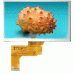 TTL70G-8004800W-1 TFT LCD TTL70G-8004800W-1 TFT LCD